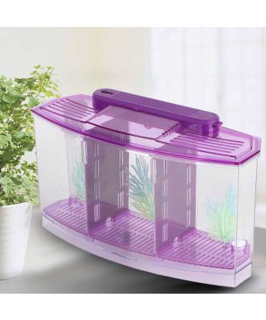 Aquarium Fish Tank Transparent Aquarium Fish Tank LED Acrylic Three Divisions Breeding Isolation Box for Small Fishes Mini Breeding Fish Tank (Purple) - Buy Online on GoSupps.com
