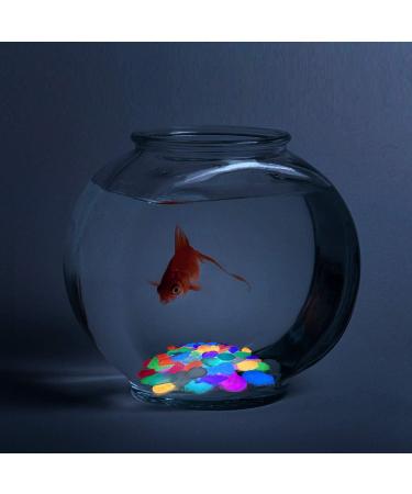 Yisscen Colorful Light Stones - 90 Bright Pebble Stones for Aquariums Children's Room D cor & Garden Walkways | Mixed Color Starfish & Shell Glow Stones - Buy Online on GoSupps.com