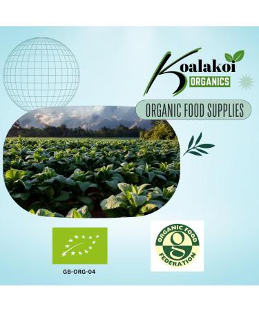 Koalakoi ORGANIC Premium non-GMO Italian Risotto Arborio white rice 4.5kg 100% Natural no Additives or Preservatives Vegan Kosher Baking & Cooking - Buy Online on GoSupps.com