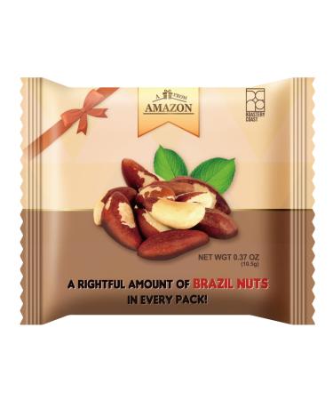 Roastery Coast - Daily Nuts Whole Raw Brazil Nuts | Selenium | Nut Snacks Multi Pack | Unsalted | Non-GMO | Certified Gluten Free | Kosher Certified | Brazilian nuts | Individually wrapped snacks