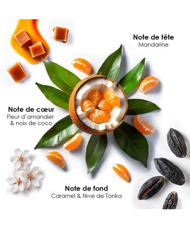 Os e - Shampoing Hydra Dream 250ml - Nutrition r paratrice & Hydratation anti-casse - Formule vegan la k ratine v g tale et prot ine de riz enrichie en extrait d Aloe Vera - Buy Online on GoSupps.com