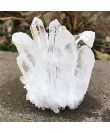 1 Piece Natural Crystal Clear Quartz Cluster Free Form Reiki Stone Suitable for Home Raw Stones and Minerals (Size : 200-300g) Home Goods (Size : 400-500g) - Buy Online on GoSupps.com