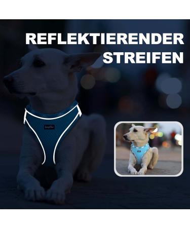 Haapaw Adjustable No Pull Dog Harness & Leash Set - Reflective Padded Vest for Extra Small to Medium Dogs (Turquoise 3.2-5 kg) - Buy Online on GoSupps.com