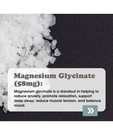 Fringe Triple Magnesium Mix Powder Magnesium Glycinate Orotate & Malate Unflavored Clean Formula Mix Into Anything 30 Servings Triple Magnesium Mix 30 Servings - Buy Online on GoSupps.com
