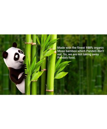 Bamboo Toothbrushes for Children - Eco-Friendly 5 Pack in Rainbow Colors | Soft BPA-Free Bristles | Biodegradable Natural Wood Toothbrushes - Buy Online on GoSupps.com
