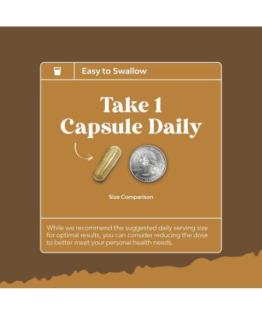 Bundle of Nootropic Memory Supplement with Vitamin B 12 Bacopa Monnieri Rhodiola Rosea DMAE Ginkgo Biloba and Advanced Lion's Mane Mushroom Supplement - Reishi Chaga Maitake Shiitake for Brain Support - Buy Online on GoSupps.com