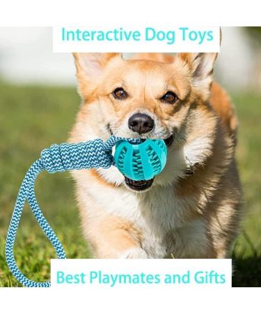 Buy Lusacy Indestructible Dog Ball with Rope - Durable 2-Piece Toy for Large & Small Dogs Ideal for Dental Care and Tugging - Buy Online on GoSupps.com