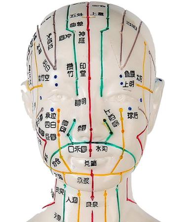 Female Acupuncture and Moxibustion Model 60cm - Medical Acupuncture and Moxibustion Model - Human Acupuncture and Moxibustion Model - for Chinese Body Statues of Doctors - Buy Online on GoSupps.com