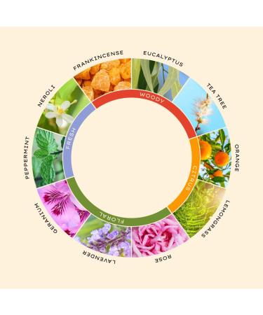 Jurlique GERANIUM PURE Essential Oil 10ML - Premium Aromatherapy Oil for Relaxation & Wellness - International Shipping Available - Buy Online on GoSupps.com