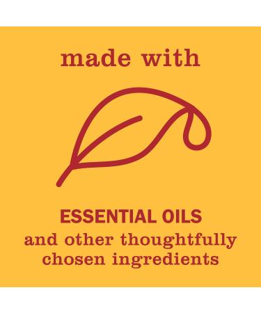 Mrs. MEYER'S CLEAN DAY Hand Soap Made with Essential Oils Clementine 12.5 Fl Oz (Pack of 8) - Buy Online on GoSupps.com