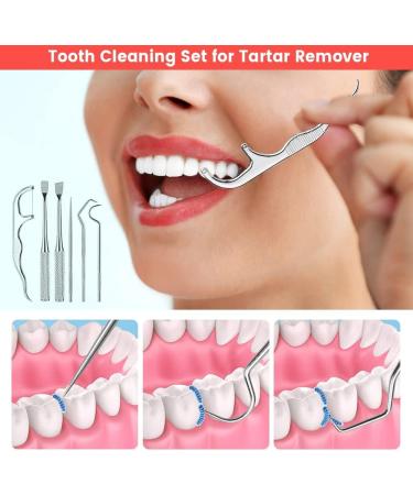 6-Piece Toothpick Tartar Remover Set - Portable Metal Dental Care Kit for Travel Camping & Picnics - Buy Online on GoSupps.com