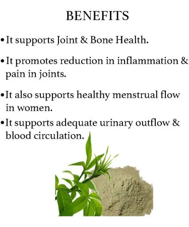 Bixa BOTANICAL Nirgundi Leaf Powder 7 Oz - Supports Joint & Bone Health 200g - Buy Online on GoSupps.com