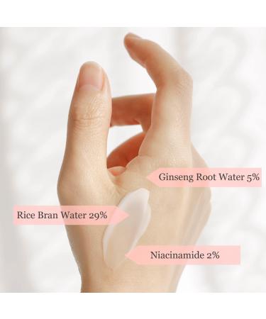 Beauty of Joseon Dynasty Cream + Glow Deep Serum - Rice & Alpha-Arbutin for Radiant Skin - Buy Online on GoSupps.com