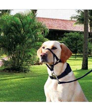 Voarge Dog Muzzle Head Halter Collar for Large Dogs (XXL) | Adjustable & Safety Strap for Easy Control | Small, Medium & Large Breeds - Buy Online on GoSupps.com