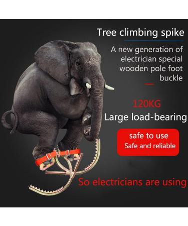 Zwjabyy Crampons & Tree Climbing Equipment Set - Safety Climbing Spikes Iron Tree Booths & Forest Accessories | Model 550 - Buy Online on GoSupps.com