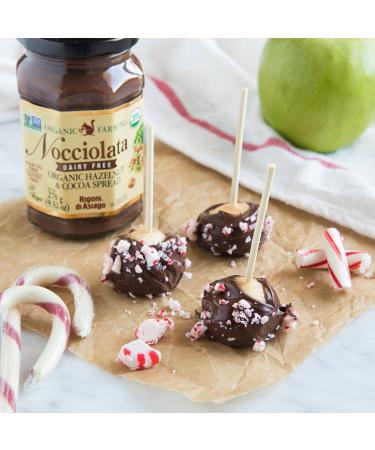 Rigoni di Asiago Nocciolata Organic Hazelnut Spread Dairy Free 9.52 oz (6 Count) | Buy Now - Buy Online on GoSupps.com