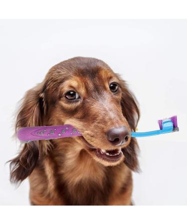 4 Packs Dog Toothbrush Triple Head Dog Toothbrush Kit Multi-Angle Dog Teeth Cleaning Brushes for Pet Dental Care Removing Bad Breath Tartar for Dog Clearing Mouth - Buy Online on GoSupps.com