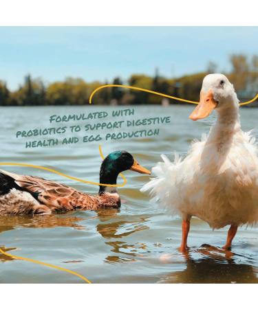 Manna Pro Duck Layer Pellets | High Protein for Enhanced Egg Production & Digestive Health - Buy Online on GoSupps.com