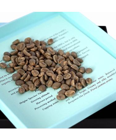 Buy 100% Geisha Coffee from Panama - Green Coffee Beans (100g) | Premium Unroasted Coffee for International Shipping - Buy Online on GoSupps.com