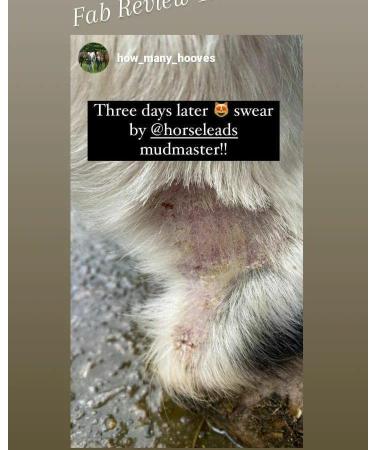 Mud Master 650 g by Horse Leads beat mud fever - Buy Online on GoSupps.com