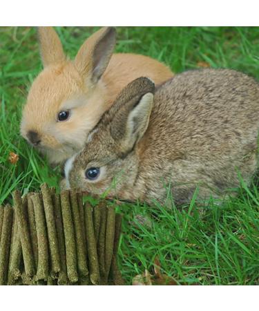 LISSION Timothy Hay Sticks Molar Sticks 1000g Natural Timothy Grass Chew Toys for Rabbit Hamster Bunny Guinea Pig Chinchilla Small Animal Molar Snacks 1 kg (Pack of 1) - Buy Online on GoSupps.com