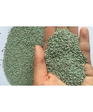 Terrarium Activated Carbon and Added Zeolite 400ml Pack Horticultural Mix for Beautiful Displays Root Protection and Anti Toxins Inhibitors for Cacti Bonsai Succulents and all House Plants. - Buy Online on GoSupps.com