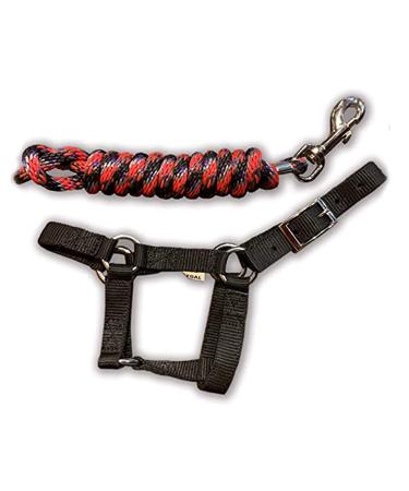 HalterUp Miniature Horse Foal Halter and Lead Rope - Cute and Stylish Black Mini Horse Foal Halters and LeadsFits minis up to approx 6 mo. of age