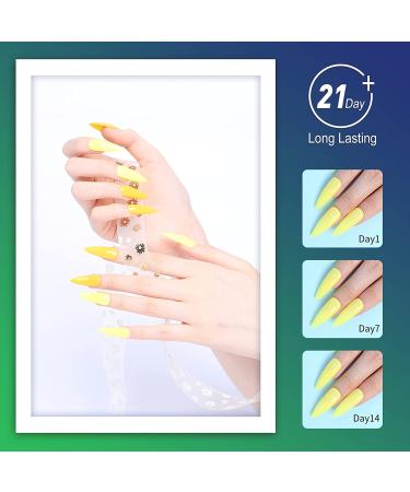 Nail Dip Powder 12 Colors Set - Dipping Nail Kit Refill Set | Red White Black Series for Nails - Buy Online on GoSupps.com