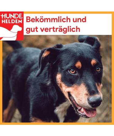 Buy BREERs Dried Beef Scalp 20 cm for Dogs - 1 kg | Premium Chewing Treats from Germany - Buy Online on GoSupps.com