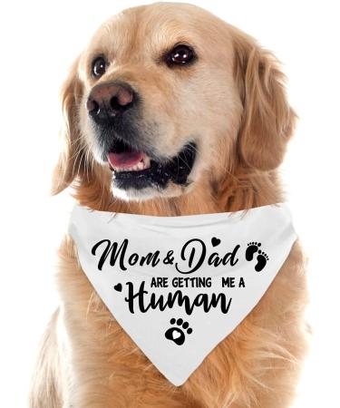 Gender Reveal Pet Scarf Set for Dog Lovers - Pack of 2 - Buy Online on GoSupps.com