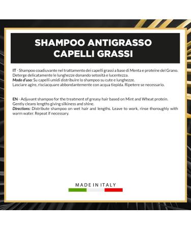 JaDy Luxury Hair Care antigrease shampoo 400 ml professional use - Buy Online on GoSupps.com