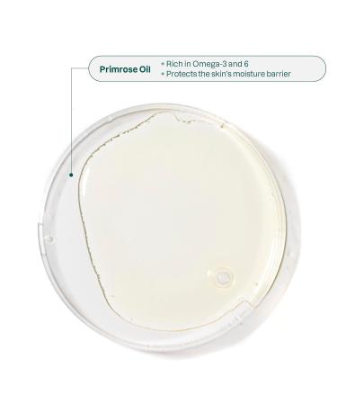 ATTITUDE Oceanly Night Oil Stick - EWG Verified Plastic-Free Vegan & Cruelty-Free Plant-Based PHYTO OIL 1 oz - Buy Online on GoSupps.com