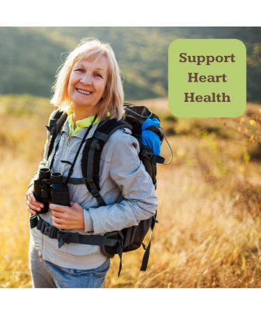 FlavaMix Performance Cocoa Powder | 900mg Cocoa Flavanols for Heart & Brain Health | Boost Nitric Oxide | Plant-Based Zero Sugar | 31 Servings - International Shipping Available - Buy Online on GoSupps.com