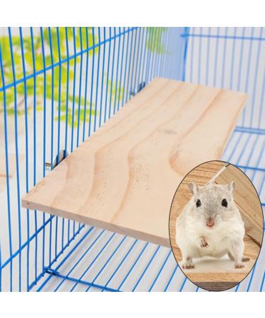 Buy Durable Wood Platform for Pets | 13x28 cm Squirrel & Hamster Stand | Ideal Parrot Cage Wooden Stand - Buy Online on GoSupps.com