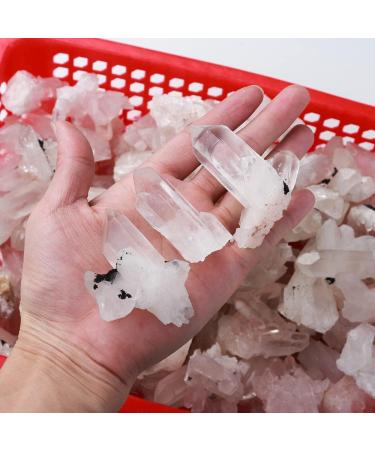 1PC Natural Raw Clear Quartz Cluster White Crystal Stone Specimen Home Decoration Crafts Ornament (Size : 30-50g) - Buy Online on GoSupps.com