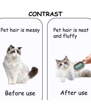 Buy Multifunctional Cat Brush with Water - Perfect for Short Hair & Massage | Blue Pet Hair Removal Comb - Buy Online on GoSupps.com