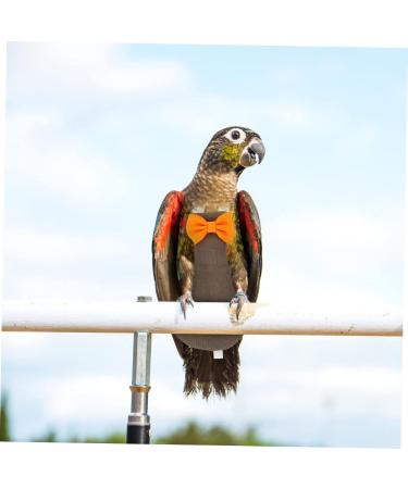 Shop PopetPop Flying Bird Diapers for Parrots | Cute Bowknots Costume & Protection | International Shipping Available - Buy Online on GoSupps.com