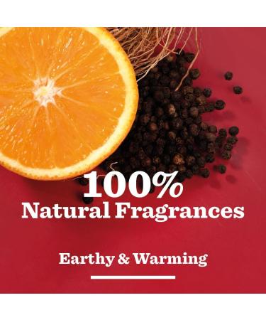Bulldog Skincare Vetiver and Black Pepper Roll On Natural Deodorant White 75 ml Vetiver and Black Pepper 1 count (Pack of 1) - Buy Online on GoSupps.com