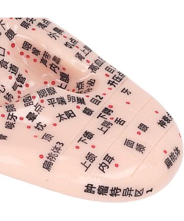 Buy Ear Point Probes Set | Acupuncture Massage Kit with 1 Earpunkt Probe 600 Auricle Plasters Tweezers & Ear Model - International Shipping Available - Buy Online on GoSupps.com