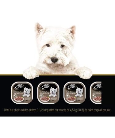 CESAR Filets in Sauce Wet Dog Food - New York Strip 100g (Pack of 24) Tray New York Strip 100 g (Pack of 24) - Buy Online on GoSupps.com