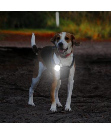 Buy Hossom LED Clip Lamp - Rechargeable Mini Headlamp Set (2-Pack) | 4 Light Modes for Jogging Fishing Camping & Hiking International Shipping Available - Buy Online on GoSupps.com