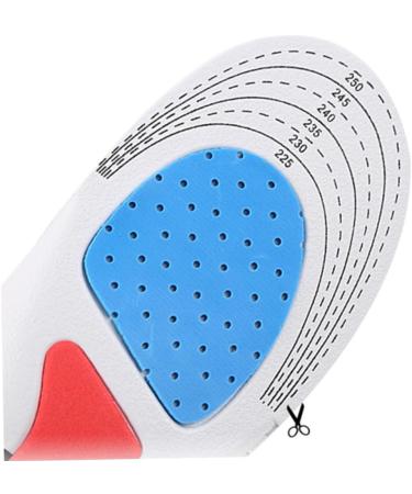 Buy Gel Accupressure Magnetic Insoles | Purple Foot Care Inserts for Men & Women - Comfortable Shoe Inserts for All-Day Relief - Buy Online on GoSupps.com