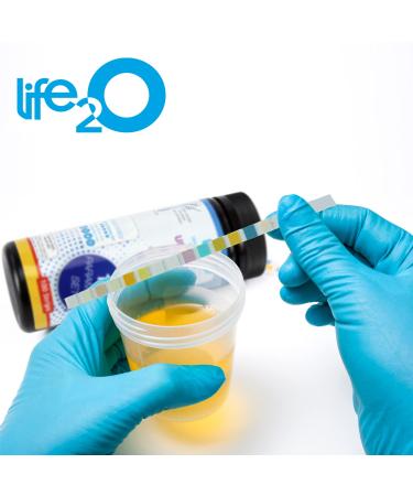 ULTRA-14 Full-Panel Check-Up Urine Test Strips 100ct - UTI & Ketosis Testing Kit for Keto Dieters - Buy Online on GoSupps.com