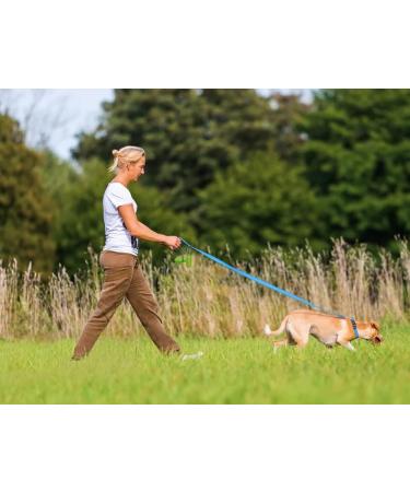 Taglory Reflective Dog Leash for Medium & Large Dogs - Padded Handle Supports 10-75kg 1.2m x 2.5cm Himmel Blue - Perfect for International Shipping - Buy Online on GoSupps.com