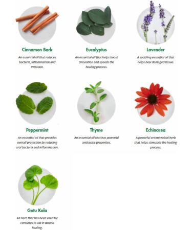 Dental Herb Co. Tooth & Gums Tonic Mouthwash - 18 oz. (2 Bottles) - Buy Online on GoSupps.com