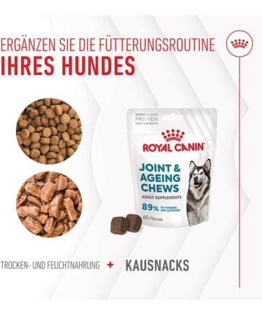 Royal Canin Joint & Ageing Chews | Pack of 3 | 3 x 240 g | Snacks for Adult Dogs of All Sizes & Breeds | In Resealable Bag | Developing with Veterinarians | With Green-Lipped Mud - Buy Online on GoSupps.com