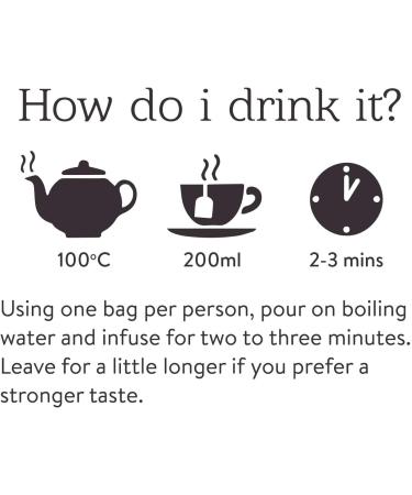 Twinings Spiced Ginger Tea Bags - 20 Count (35g) | Pack of 1 - Buy Online on GoSupps.com