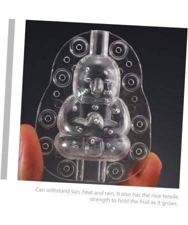 Lurrose Plastic Fruit 6 pcs Tool Cucumber Plant Duddha Growth Adorable Plastic Mould Melon Tiny Pear Buddha Clear Growing Transparentx3pcs 10x7cmx3pcs - Buy Online on GoSupps.com