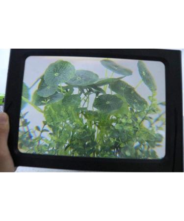 Professional A4 with LED Lights Foldable 3X Magnifier Super High Clarity Lightweight for Reading Loupe Watch and Electronic Repair/Full of Stars - Buy Online on GoSupps.com