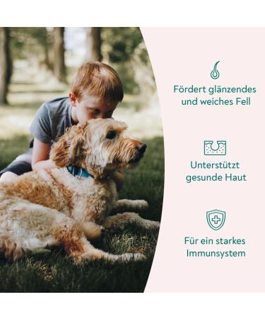 Hellobello Skin & Fur Drops for Dogs - 3 x 350g with Algae Oil Brewers Yeast & Biotin for Soft Shiny Fur & Healthy Skin - International Shipping Available - Buy Online on GoSupps.com